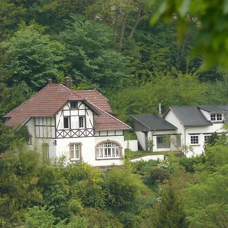La Dependance De La Villa Des Oiseaux - La Petite Pierre 외부 사진