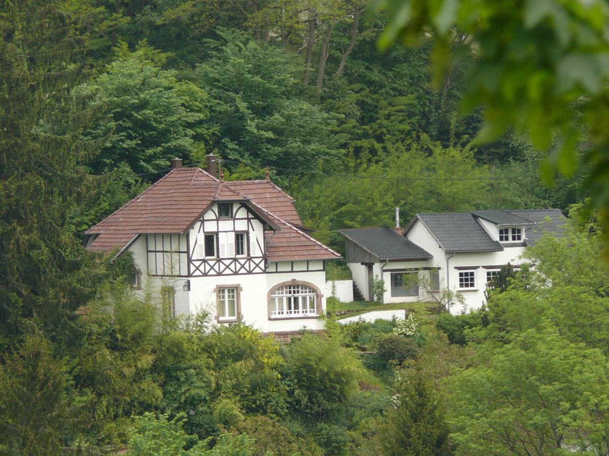La Dependance De La Villa Des Oiseaux - La Petite Pierre 외부 사진