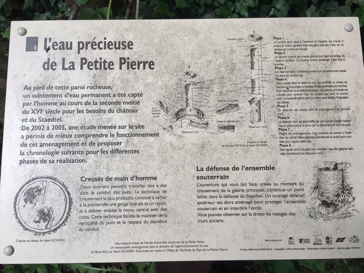La Dependance De La Villa Des Oiseaux - La Petite Pierre 외부 사진