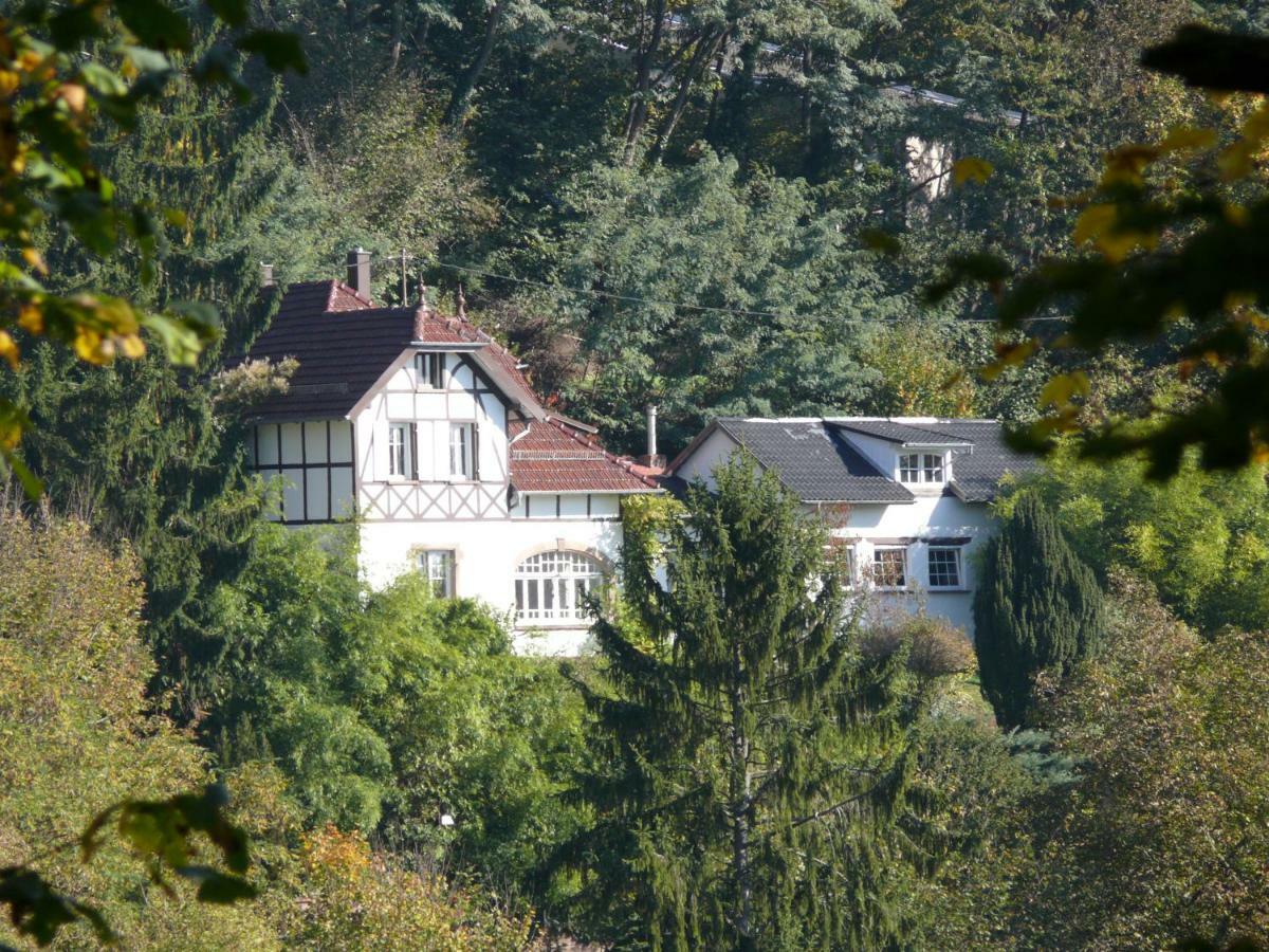 La Dependance De La Villa Des Oiseaux - La Petite Pierre 외부 사진