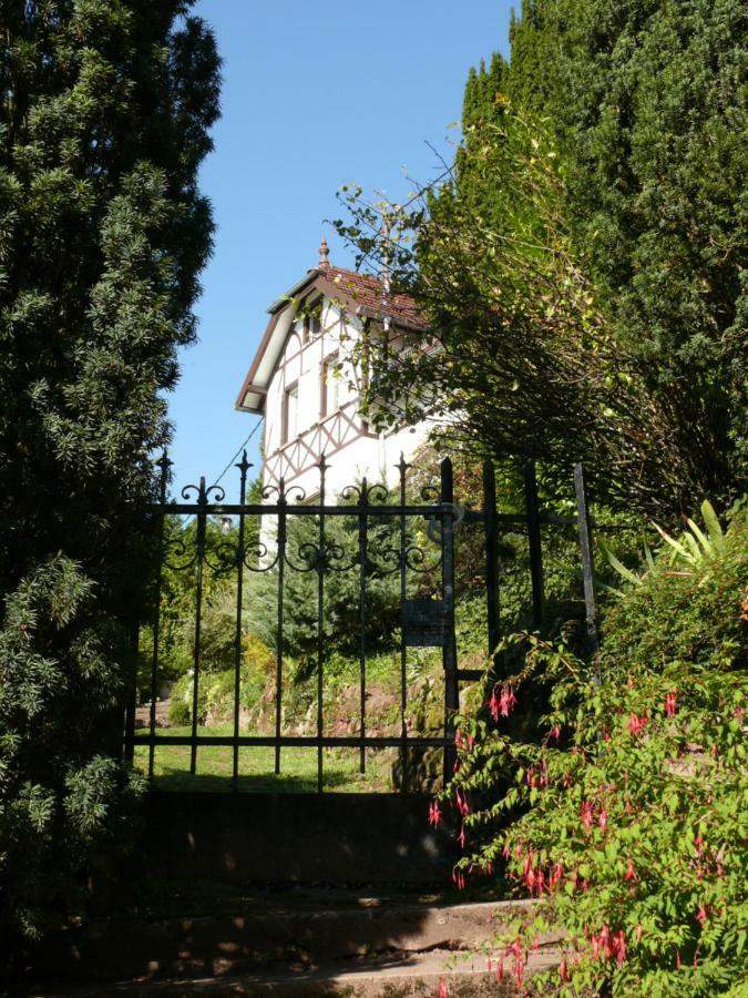 La Dependance De La Villa Des Oiseaux - La Petite Pierre 외부 사진